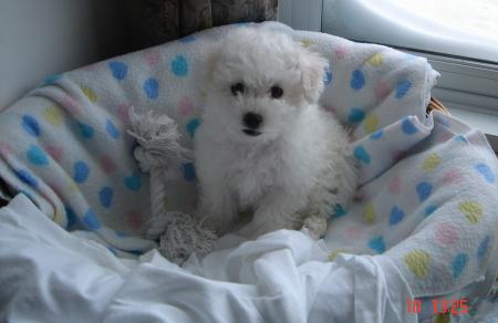Willy bébé !!